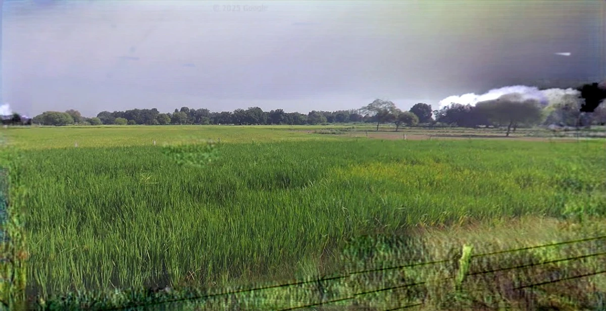 Jhajjar, Haryana 124103, India