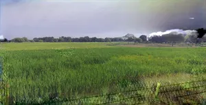Jhajjar, Haryana 124103, India preview 2