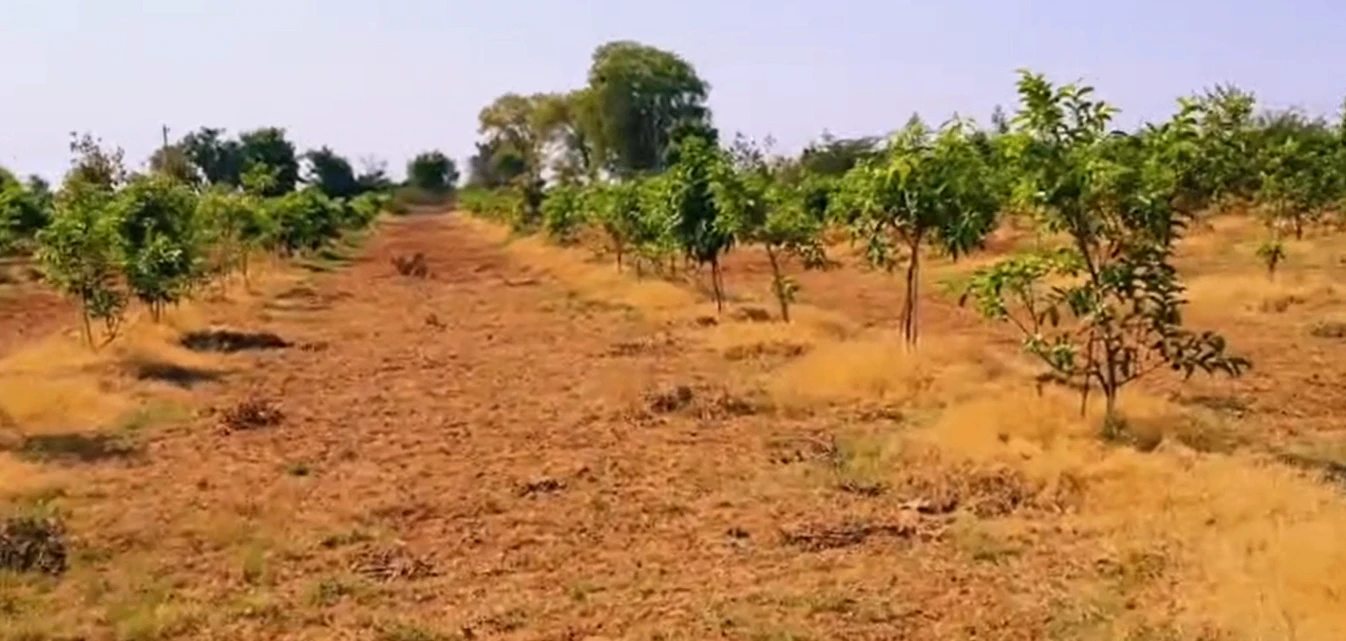 RP2J+52 Angadi Kistapur, Siddipet, Telangana, India