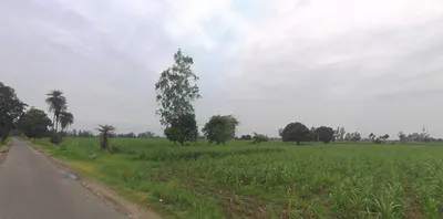 Thakurdwara, Uttar Pradesh 244601, India preview 2