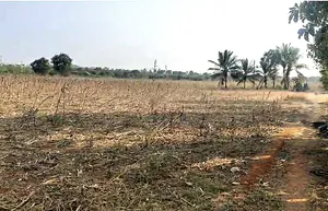 5C8F+PQ Naranagepalle, Andhra Pradesh, India preview 3