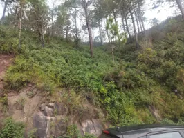 Panjhal, Himachal Pradesh 173001, India preview 4
