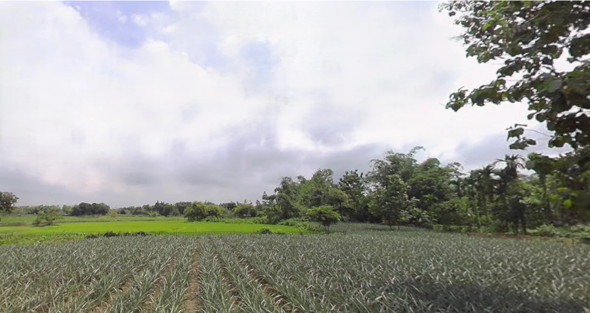 Ghoshpukur, West Bengal 734426, India