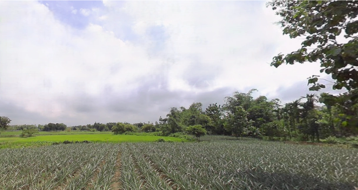 Ghoshpukur, West Bengal 734426, India