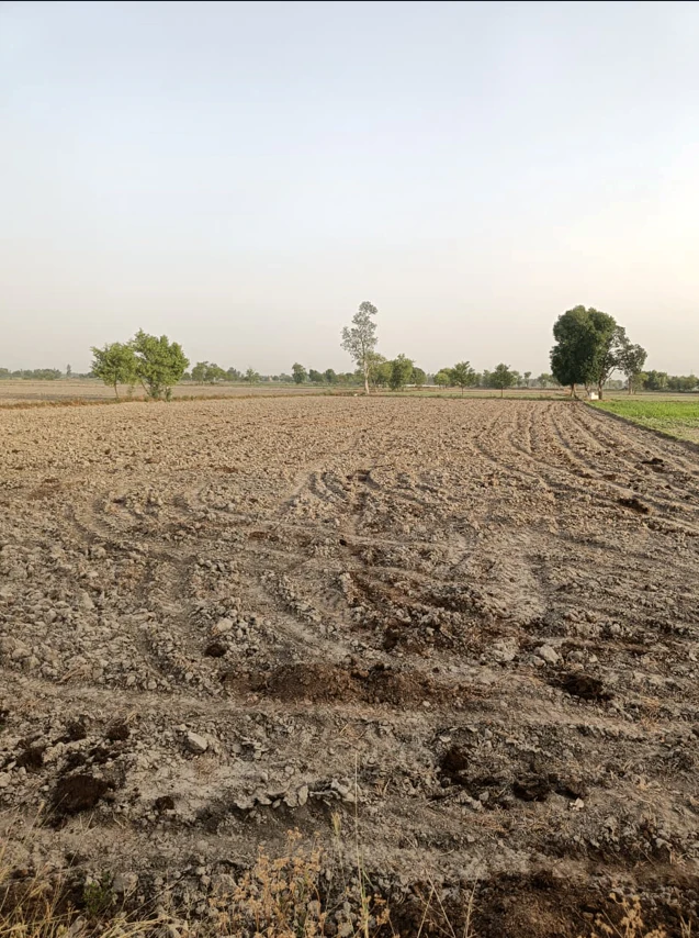 Dr. Ambedkar Nagar, Madhya Pradesh 453441, India