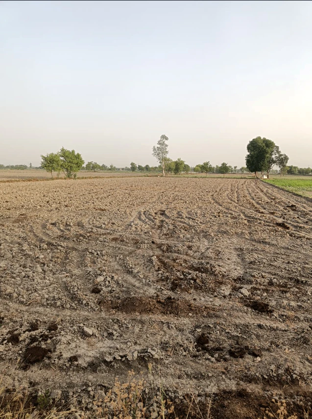 Dr. Ambedkar Nagar, Madhya Pradesh 453441, India