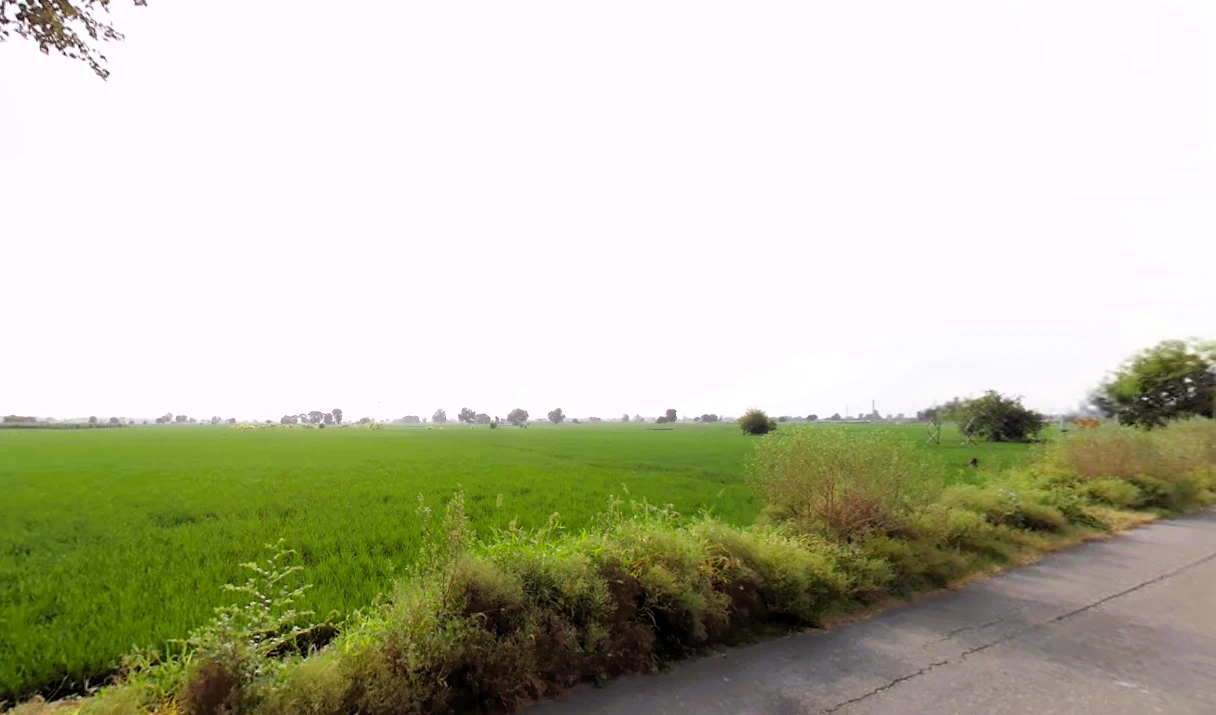 Madlauda, Haryana 132113, India preview 2