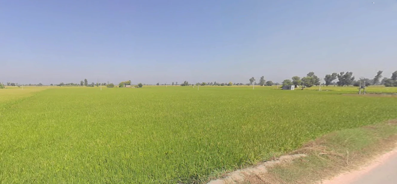 Joga, Punjab 151510, India