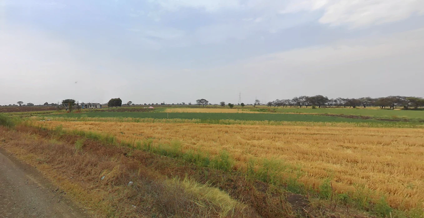 Ingoriya, Madhya Pradesh 456222, India