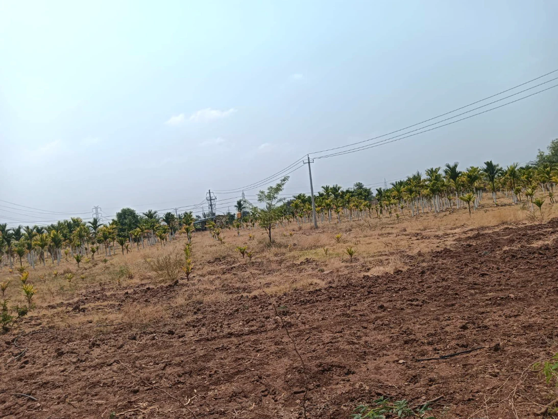 Hiriyur, Karnataka, India