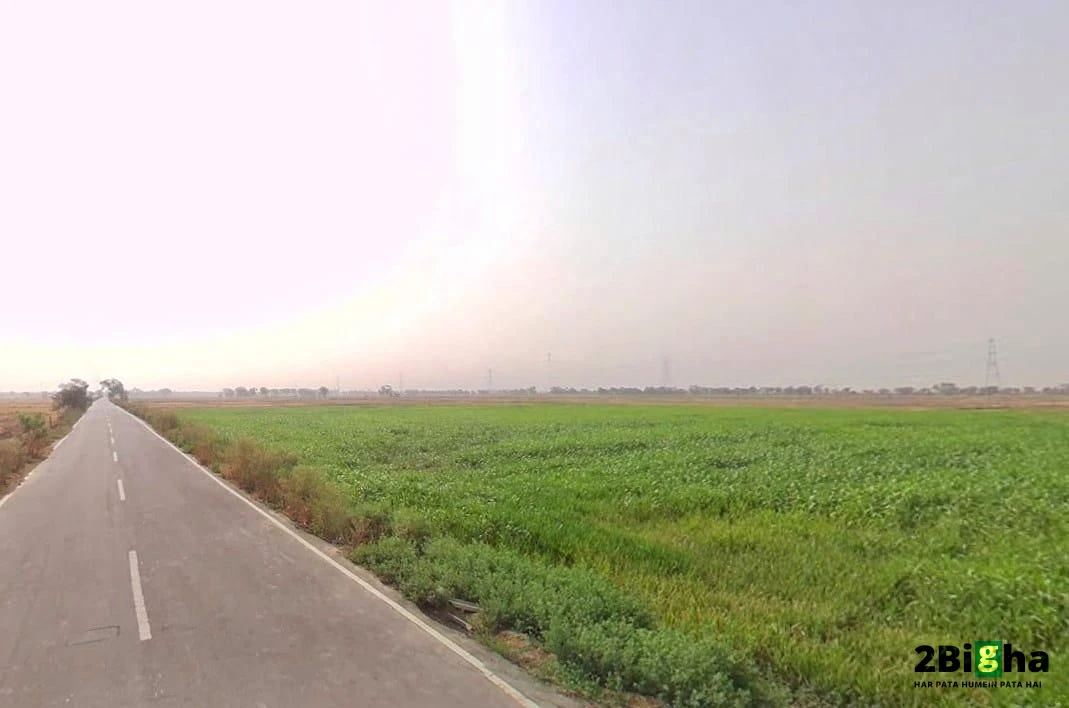 Faridpur, Haryana 125103, India