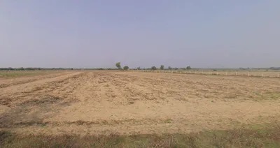 Vithalpur, Gujarat, India preview 2