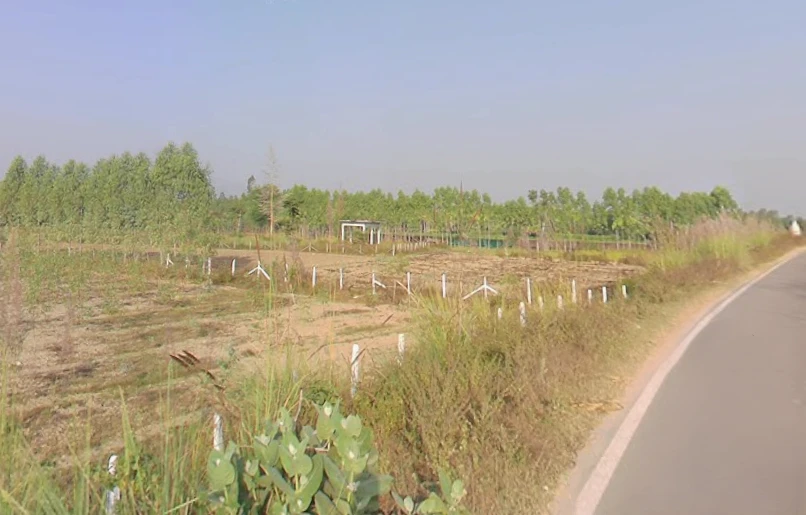 Manoharpur, Uttar Pradesh 247662, India