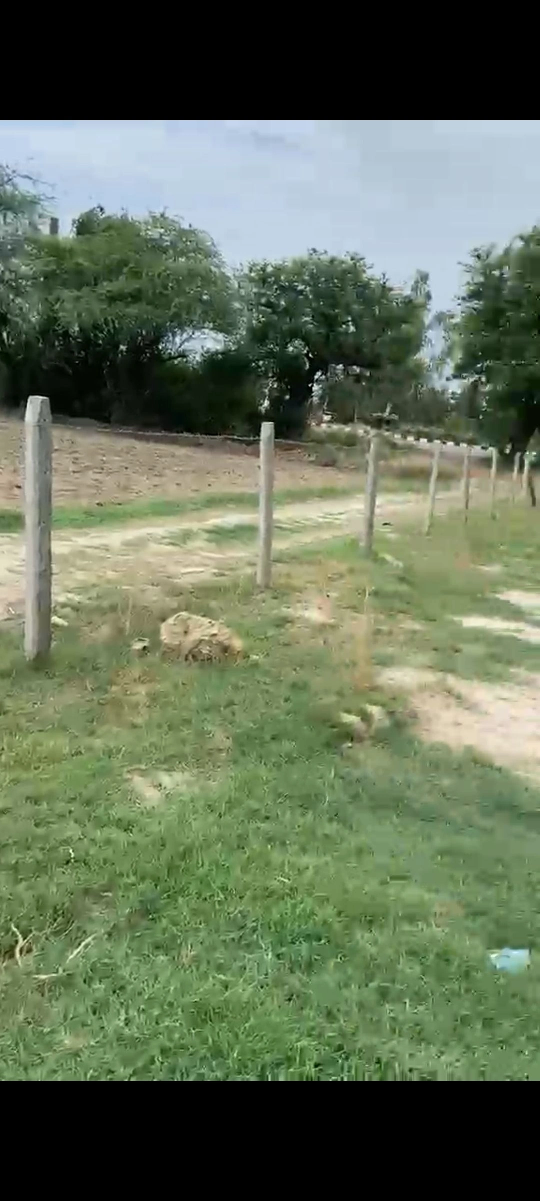 Malihabad, Uttar Pradesh, India
