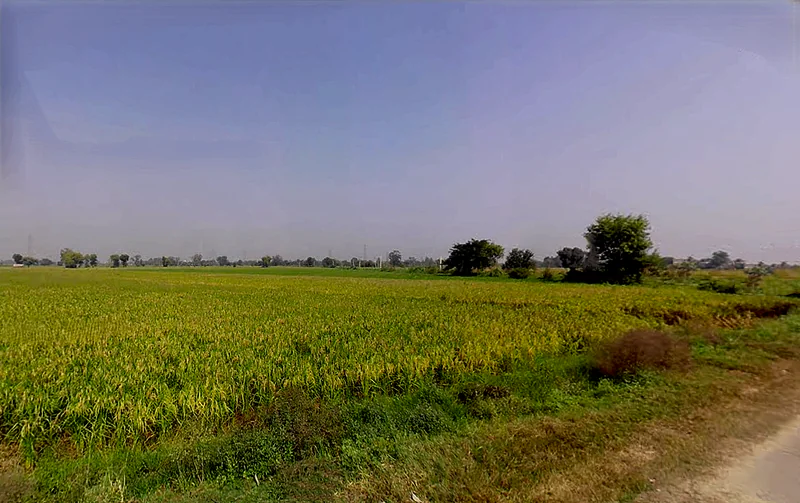 Ranwari, Uttar Pradesh 281401, India preview 2