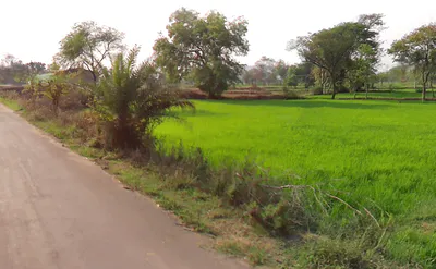 Basin, Chhattisgarh 491340, India preview 2