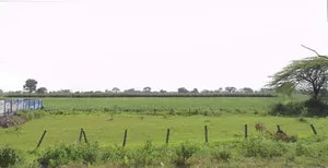 92H9+F57, Nandlai, Madhya Pradesh 457001, India preview 2