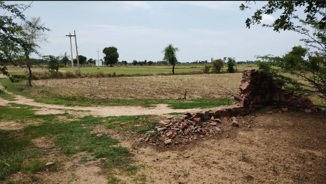Barnagar, Madhya Pradesh 456771, India