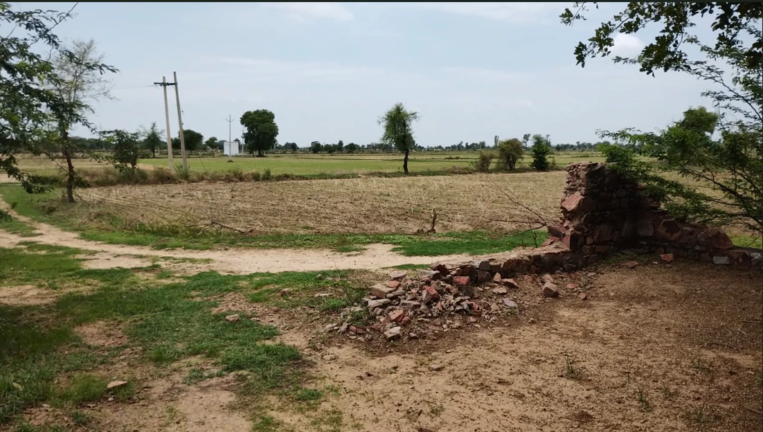 Barnagar, Madhya Pradesh 456771, India