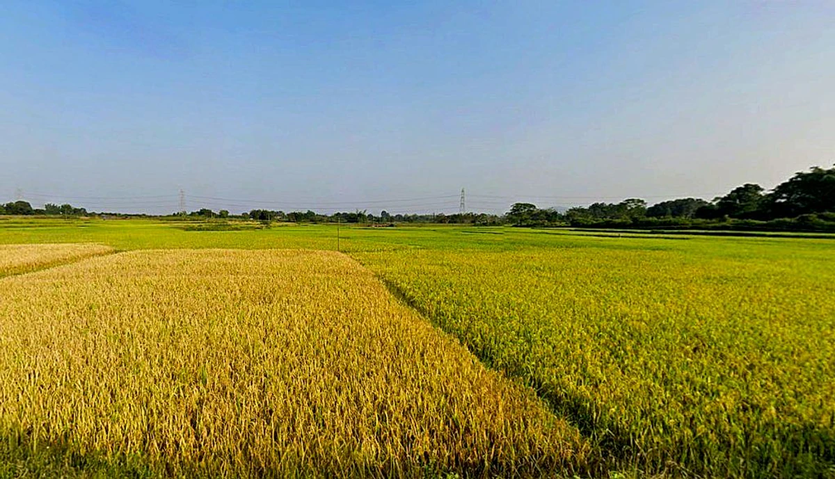 Bhusur, Jharkhand, India