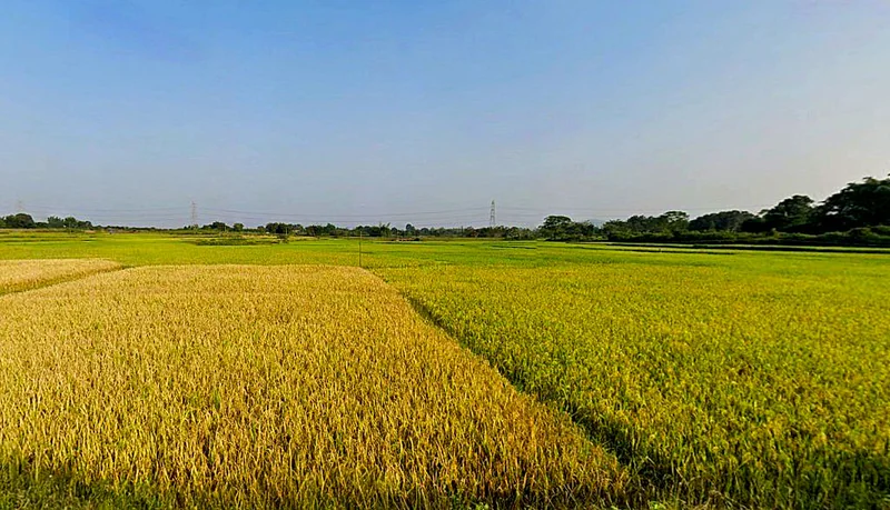 Bhusur, Jharkhand, India preview 3