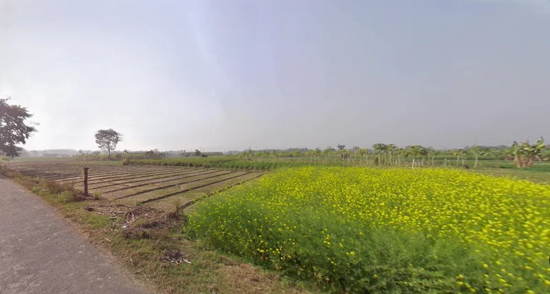 Sendanga, West Bengal 743272, India preview 3