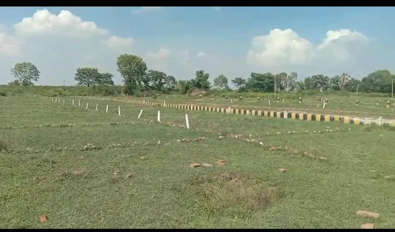 Bihta, Bihar 801103, India preview 2