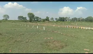 Bihta, Bihar 801103, India preview 2