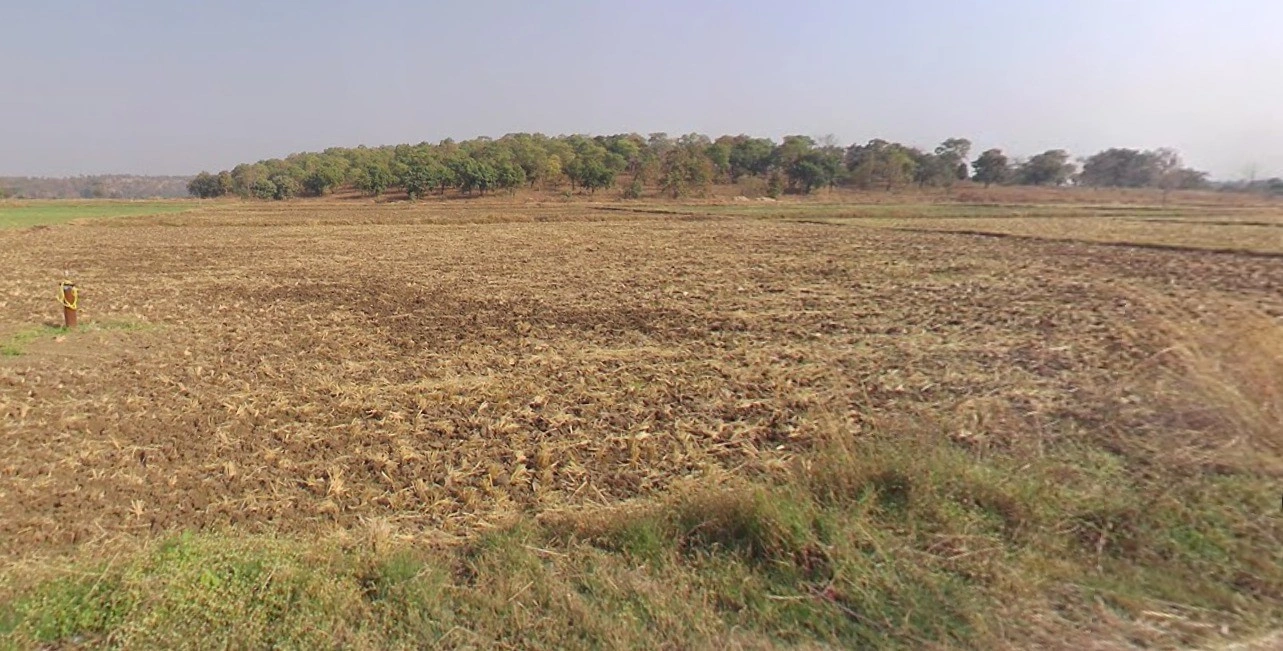 Junwani Kalan, Chhattisgarh 493449, India