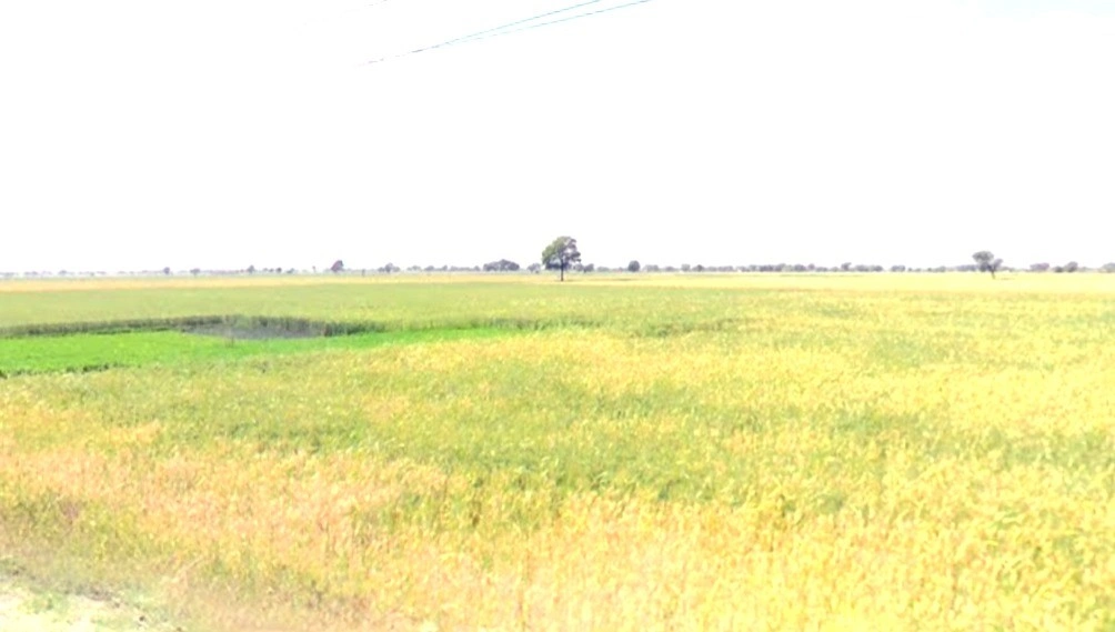 Chhatarpur, Madhya Pradesh 471001, India