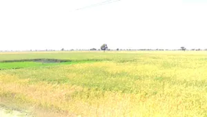 Chhatarpur, Madhya Pradesh 471001, India preview 3