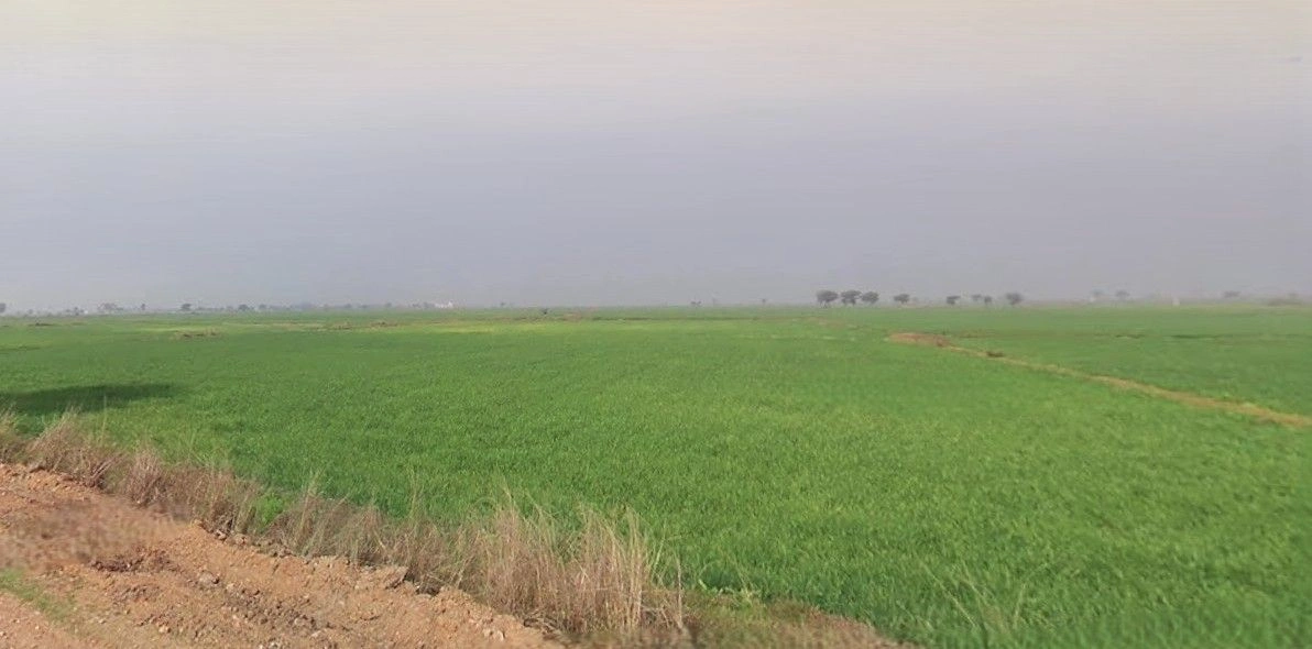 Ramnagar, Uttarakhand 244715, India