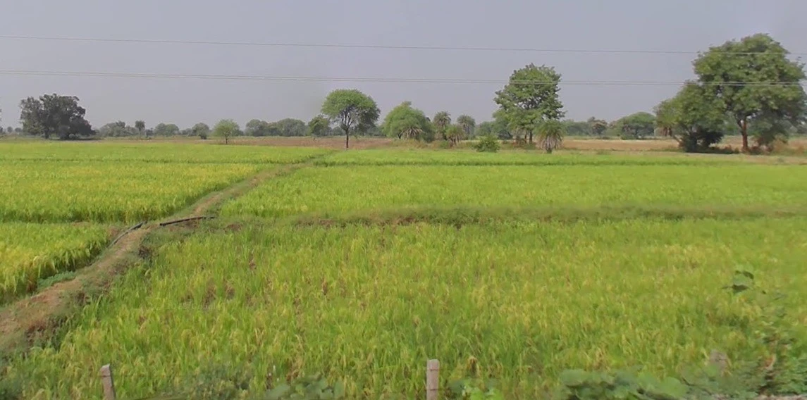 Mandideep, Bhopal, Madhya Pradesh 462046, India