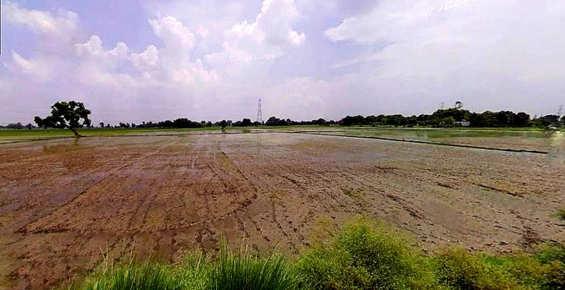 Mathura, Uttar Pradesh, India preview 3