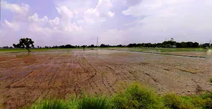 Mathura, Uttar Pradesh, India preview 3