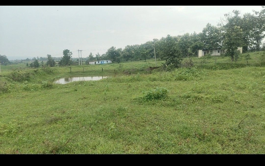 Q86W+F9P, Narmadapuram, Pipariya, Madhya Pradesh 461775, India