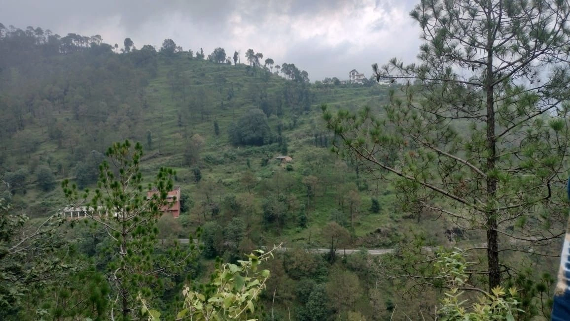 348X+R74, Shimla, Shoghi Bypass, Himachal Pradesh 171219, India