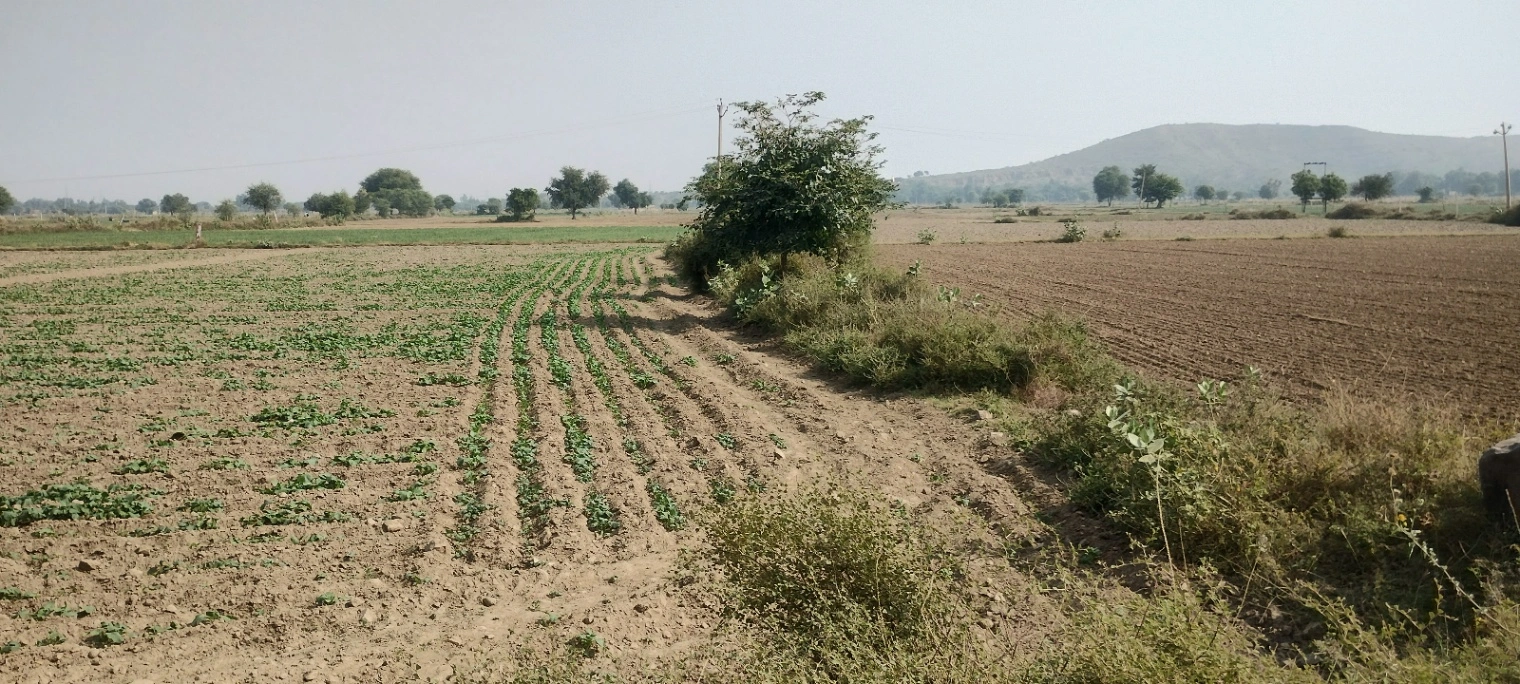 Ghat, Rajasthan, India