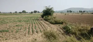 Ghat, Rajasthan, India preview 2