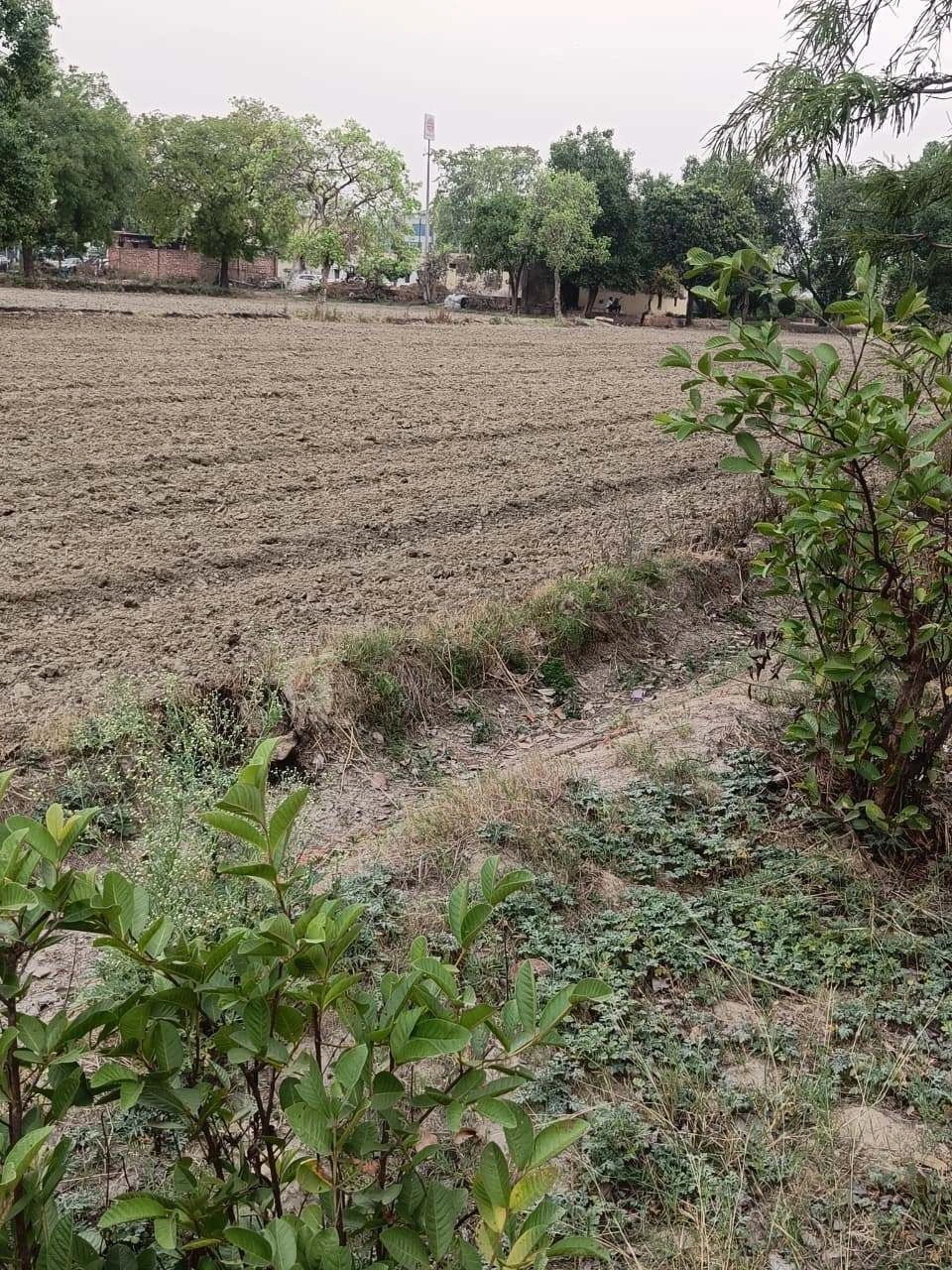 Chandauri, Uttar Pradesh, India