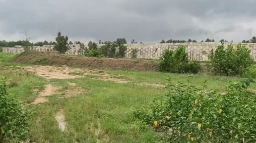 Godhi, Moradabad, Uttar Pradesh, India