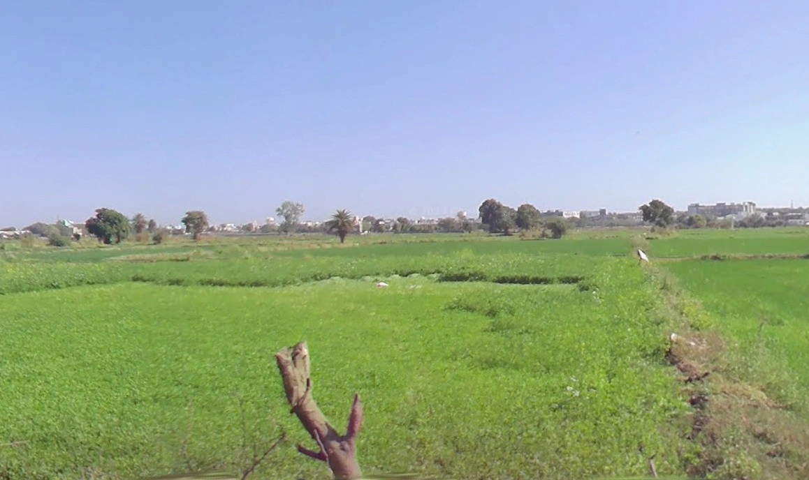 Bawadiya Kalan, Gulmohar Colony, Bhopal, Madhya Pradesh, India