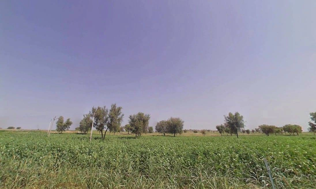 Arjansar, Rajasthan 334604, India