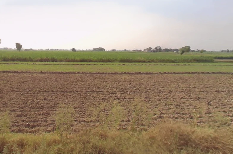 Kila Parikshit Garh Rd, Coral Spring Colony, Abdullapur, Uttar Pradesh, India