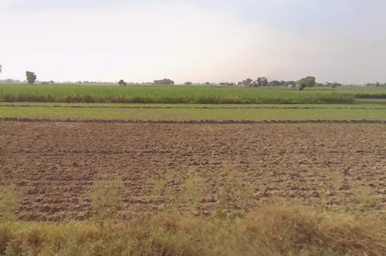 Kila Parikshit Garh Rd, Coral Spring Colony, Abdullapur, Uttar Pradesh, India