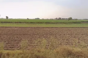 Kila Parikshit Garh Rd, Coral Spring Colony, Abdullapur, Uttar Pradesh, India preview 3