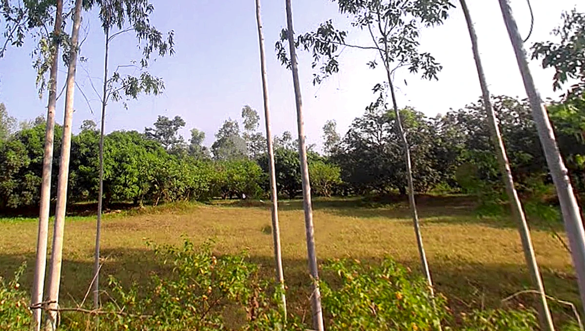 Bhagwanpur, Uttarakhand 247661, India