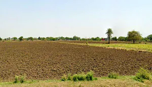 Kalmoda, Madhya Pradesh 457001, India preview 2