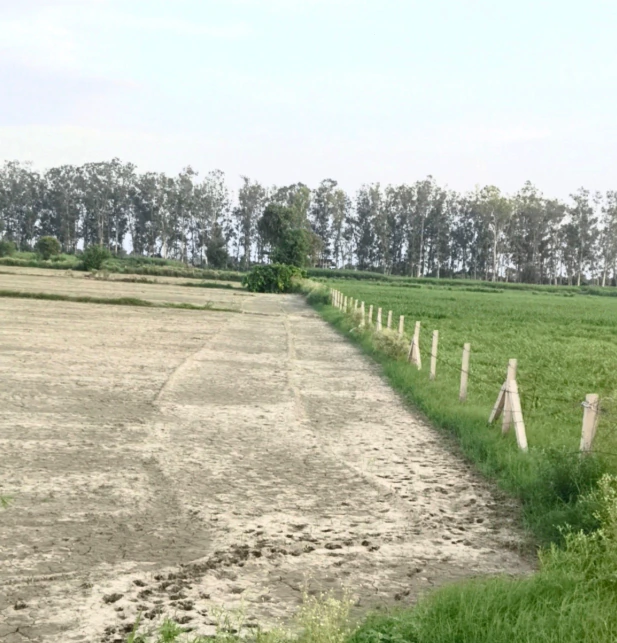 4XV8+R9 Jaswar, Bharatpur, Rajasthan, India