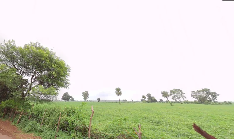 Salkanpur, Madhya Pradesh 466446, India preview 3